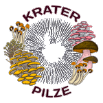 Krater Pilze