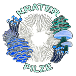 Krater Pilze