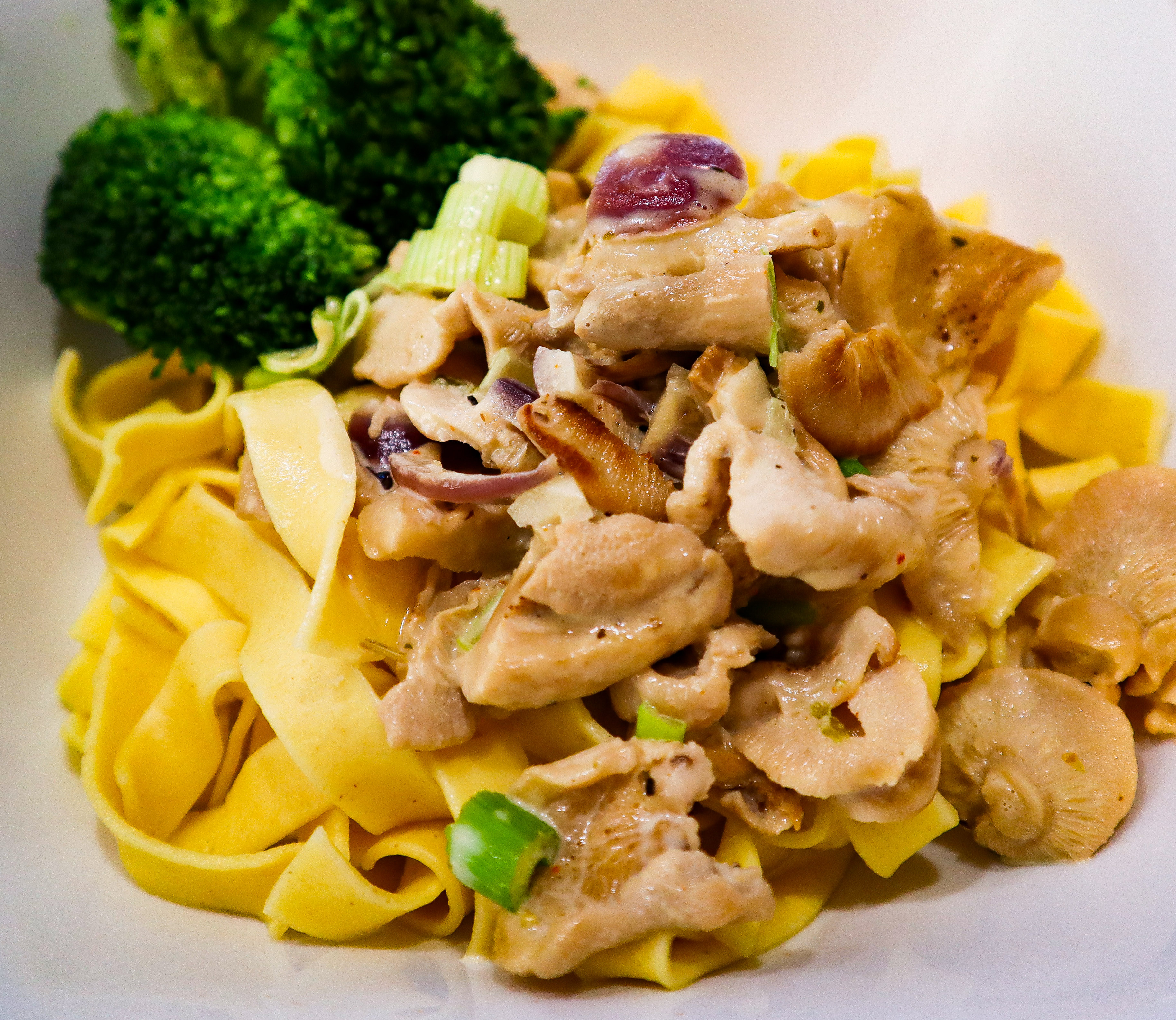 Shiitake Pilz Pasta